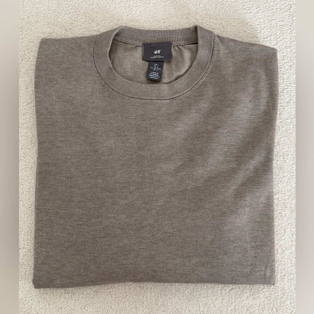 H&M Men's Large Slim Fit Crewneck Sweater